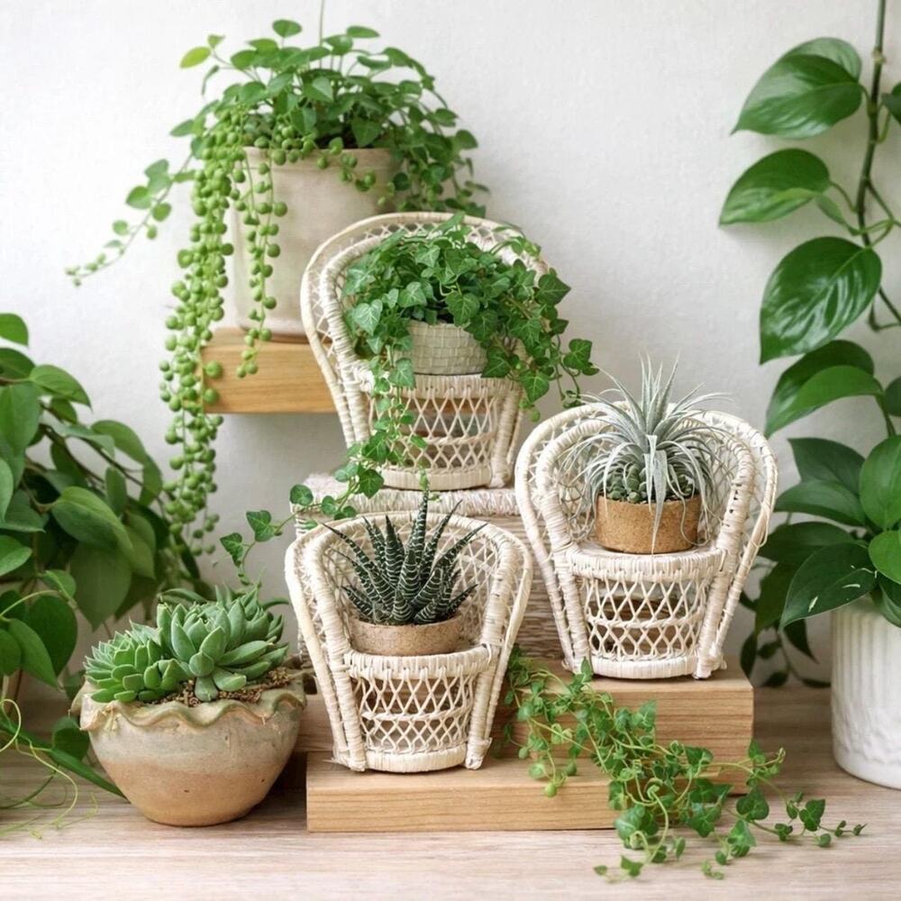 6pc Vintage Mini Wicker Peacock Chair & Rectangular Nesting Basket Set Boho1